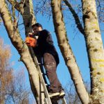 Photos, vidéos Jean Marie Desclos paysagiste à Ouistreham