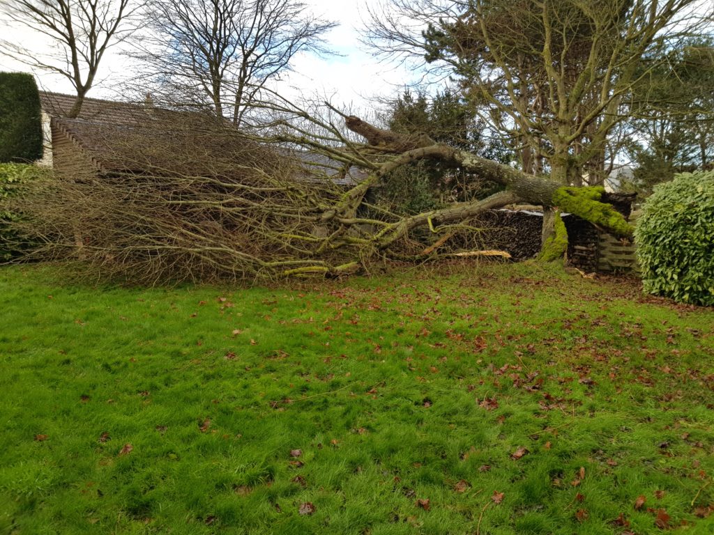 Elagage Ouistreham, Paysagiste à Ouistreham, Jean Marie Desclos évacue les arbres tombés