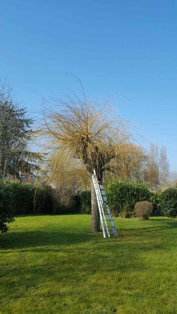 JM Déclos, élagage Ouistreham et environs