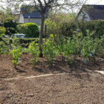 Entretien d'un potager par Jean Mari Desclos, entretien de espace vert