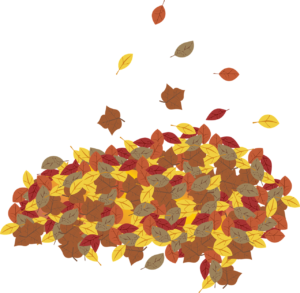 nettoyage des feuilles a ouistreham par jean marie desclos