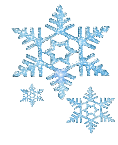 Paysagiste à Ouistreham JM Desclos