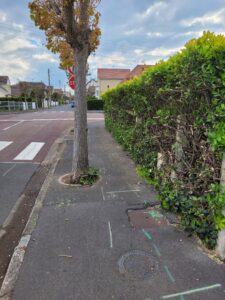 JM Desclos Jardinier paysagiste à Ouistreham