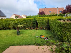 Photo JM Desclos jardinier paysagiste à Ouistreham