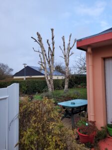 JM Desclos Jardinier paysagiste élagage Cabourg