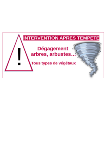 Intervention après tempête jardinier paysagiste Ouistreham