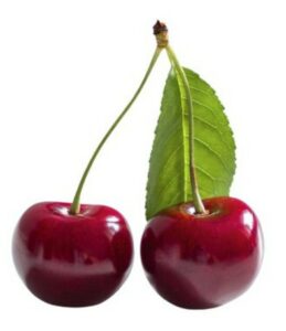 Jardinier à Ouistreham J M Desclos