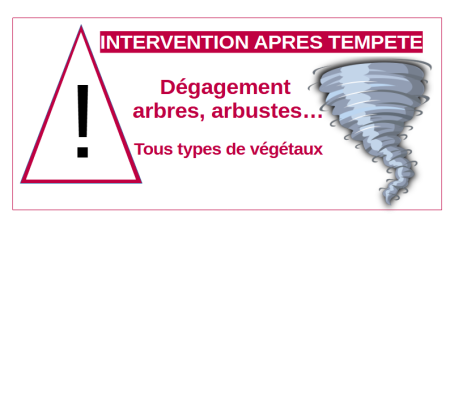 Intervention après tempête jardinier paysagiste Ouistreham